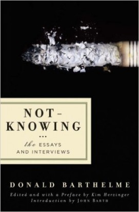 the art of not knowing