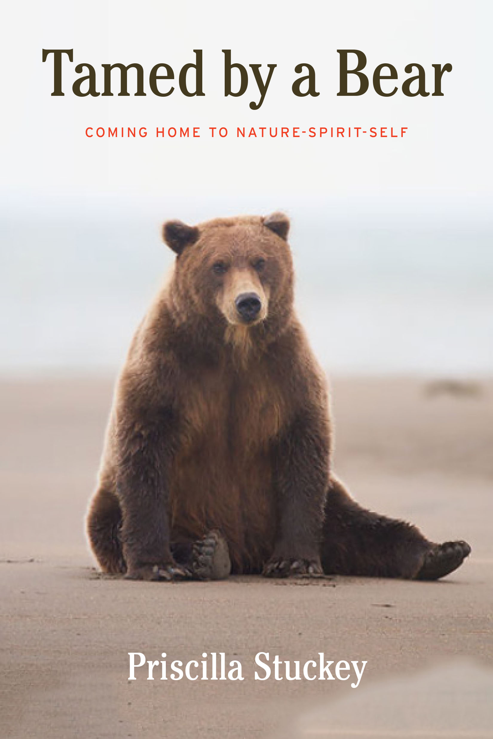tamed bear